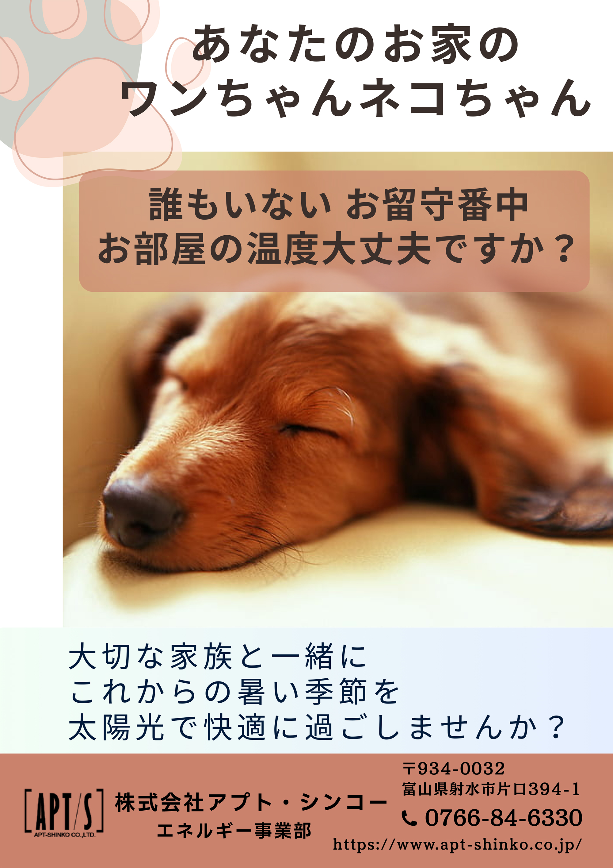 太陽光でお留守番中のワンちゃんも快適に