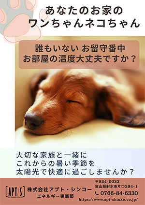 太陽光でお留守番中のワンちゃんも快適に