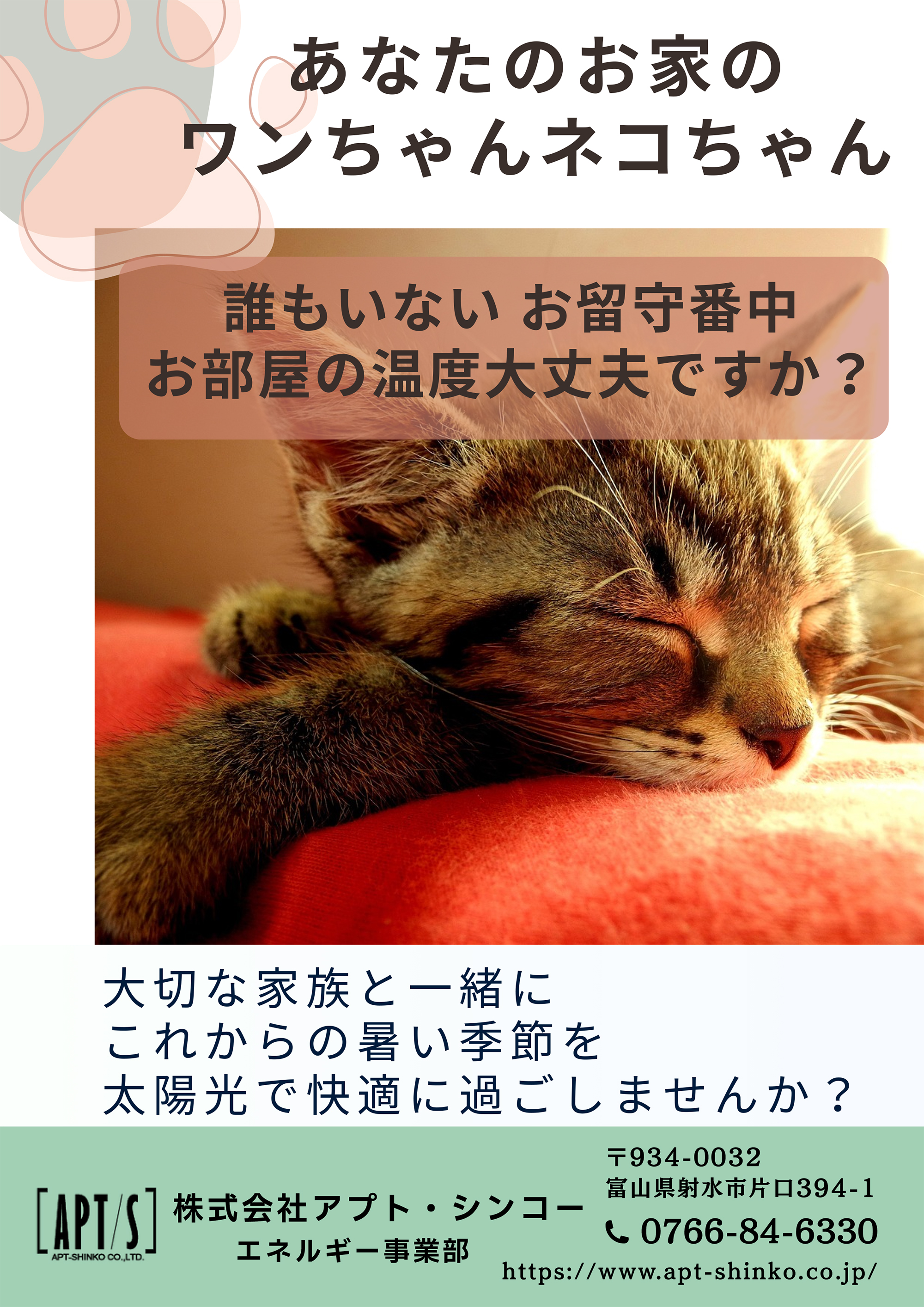太陽光でお留守番中のネコちゃんも快適に