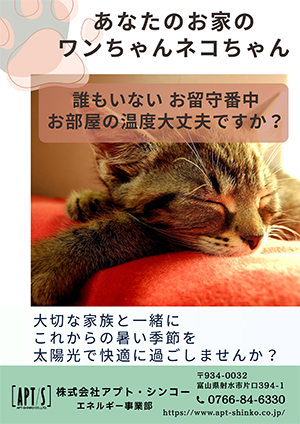 太陽光でお留守番中のネコちゃんも快適に